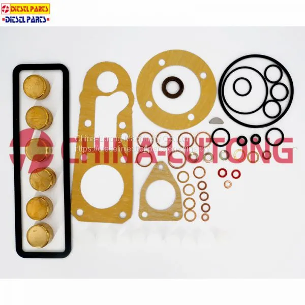 Bosch ve Pump Rebuild Kit-diesel Fuel Pump Repair Kit 1 467 010 467 for ISUZU 4JB1 photo-3