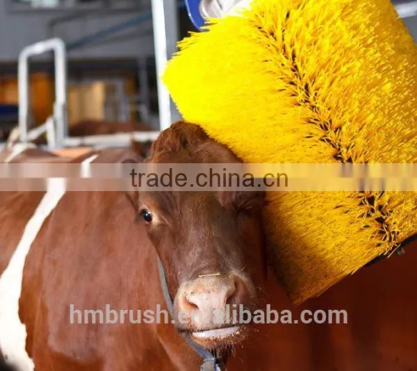 Cow Brush With High Quality photo-2
