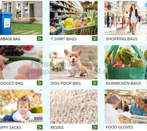 Yantai Bagease Plastic Products Co.,ltd. company overview - view 4