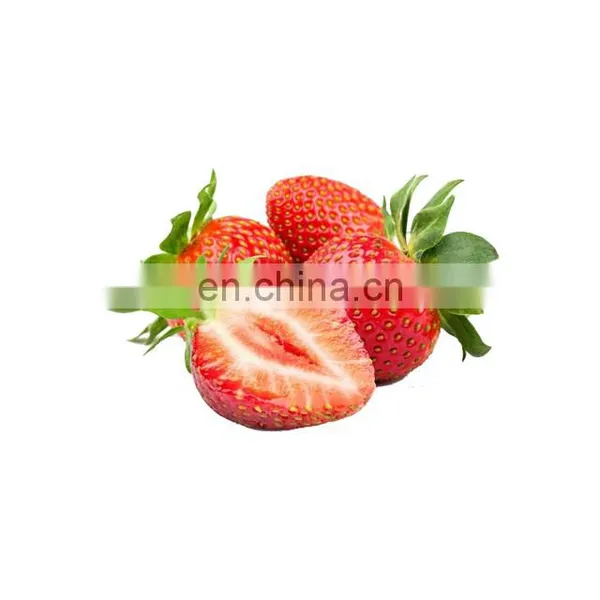 Super Food Strawberry Fruit Juice Extract Powder photo-2