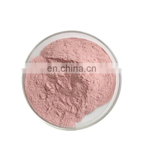 Super Food Strawberry Fruit Juice Extract Powder photo-3