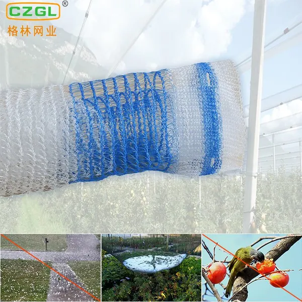 Anti Hail Net Anti Hail Net for Agriculture Hail System Net Antigranizo Granizo photo-4