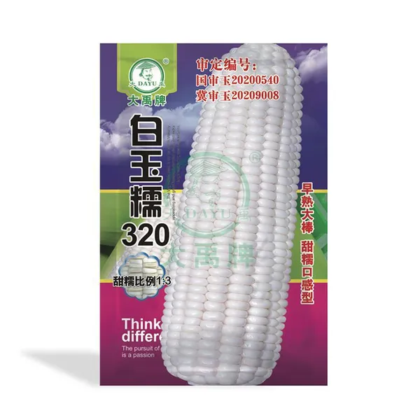 Waxy Corn Seed