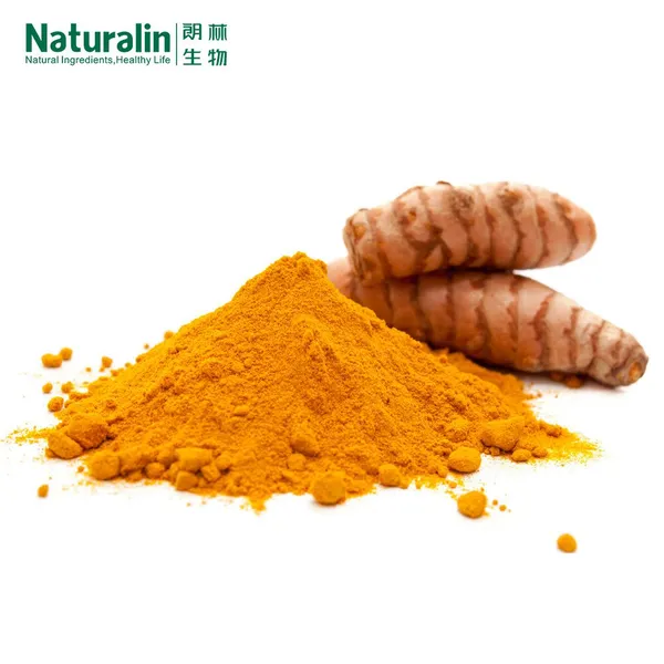 Turmeric Extract photo-5