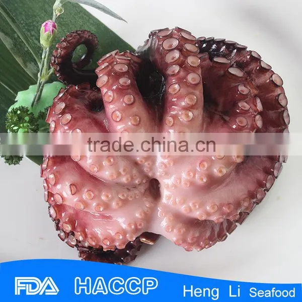 Fishing Octopus for Sale photo-5