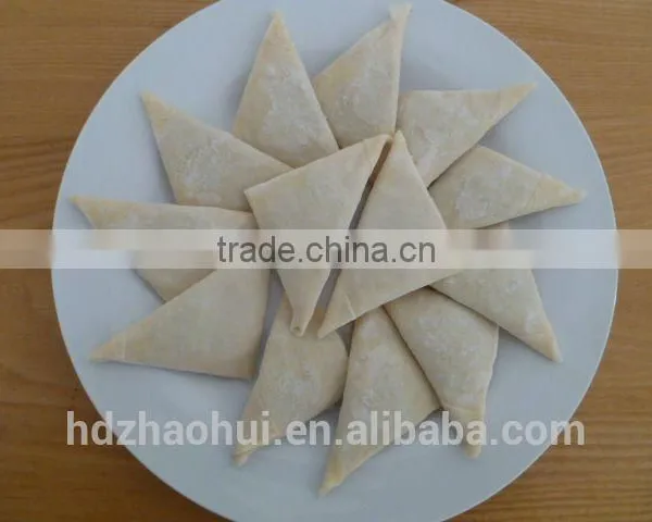Spring Roll photo-2