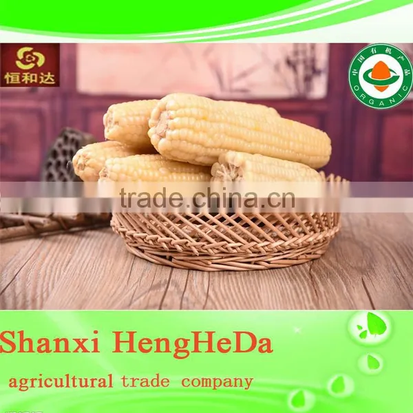 Plastic China Online 2015frozen Sweet Corn Cobs photo-2