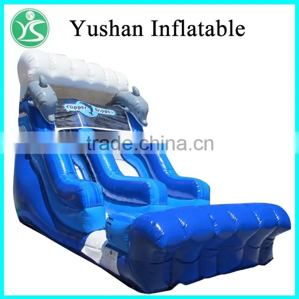 Outdoor Adults Inflatable Slide photo-5