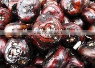 Wholesale Good Fresh Water Chestnut on Sale photo-2