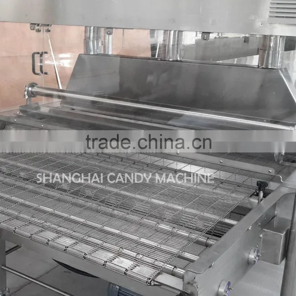 Chocolate Coating Line in Shanghai Confectionery Machinery photo-4