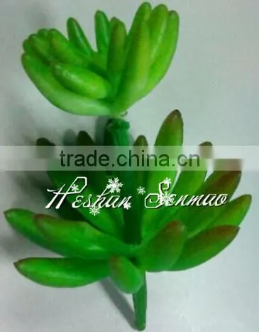 Wholesale Lifelive Artificial Succulents Plant photo-4