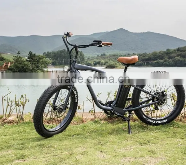26inch Land Rover e Bike Fat Beach Cruiser e Bike Mountain e Bike Supplier's Choice photo-2