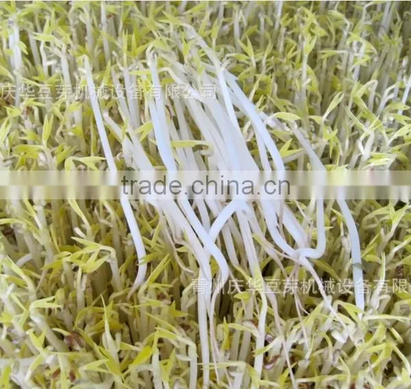 Full-automatic Bean Sprouts Machine(CE) photo-4