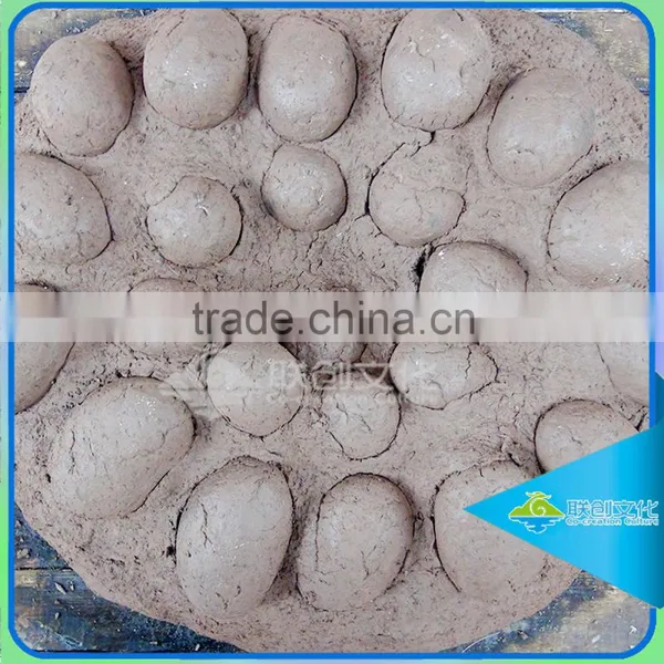 On Exhibit Dinosaur Footprints Fossils of Dinosaur photo-2