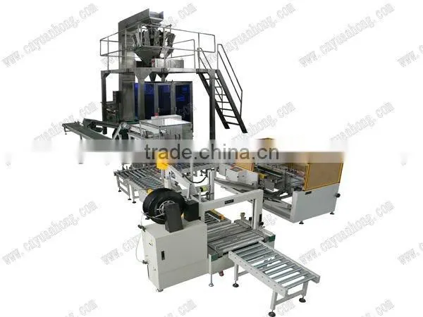 Automatic Carton Packing Machine