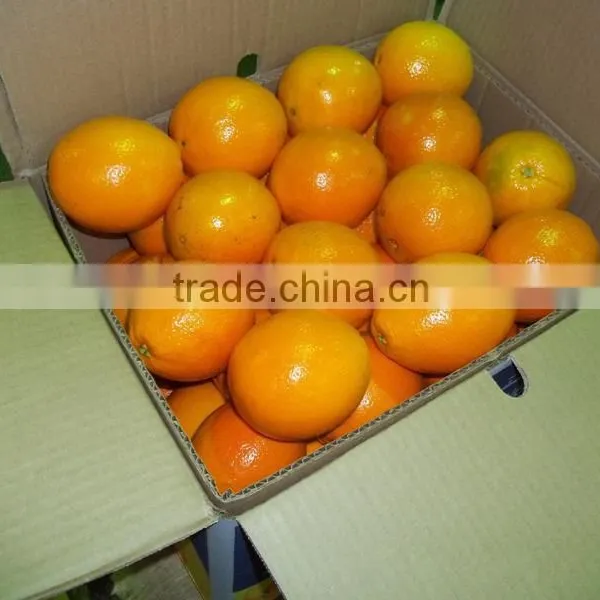 Fresh Valencia Orange photo-4