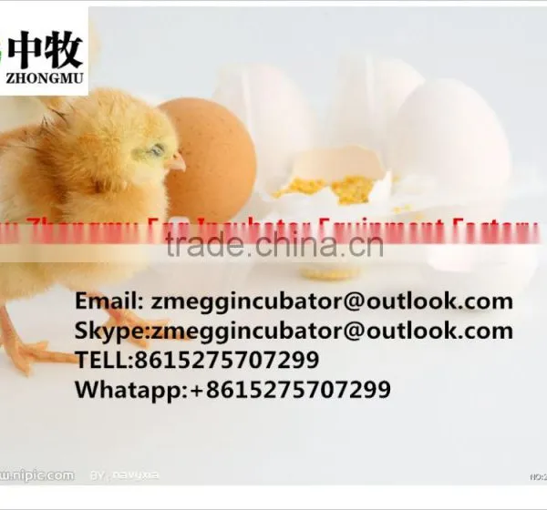 Promotion Price Holding 4224 Eggs Full Automatic Egg Incubator India photo-6