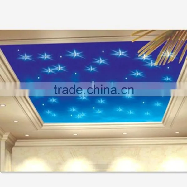 2015 New Design Fibre Optic Stream Shower Light photo-3