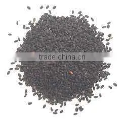 BASIL Seed