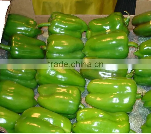Color Pepper ( GREEN - YELLOW - RED ) photo-3