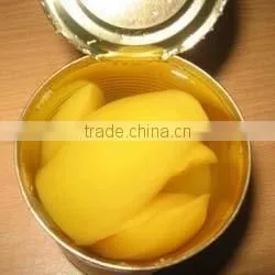 Alphonso Mango Slices In Syrup photo-4