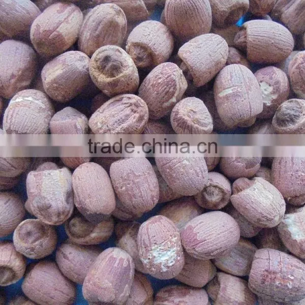 VIETNAM LOTUS SEED, HIGH QUALITY AT RIGHT PRICE photo-4