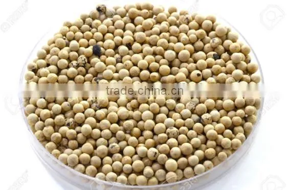 VIETNAM VINAPRO WHITE PEPPER 630G/L (+841657106604 - WHATSAPP) photo-4