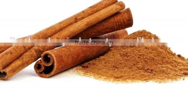 Cassia Angustifolia Extract photo-3