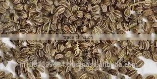 Celery Seed OIl