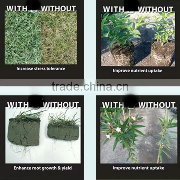 Mineral Fulvic Acid With 50% Fulvic Acid Content photo-4