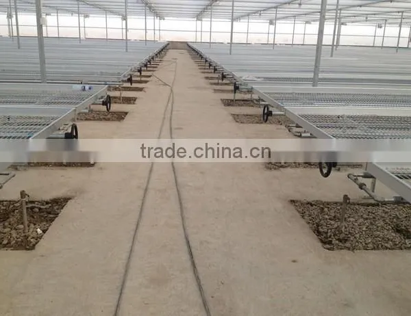 Seedbed for flower bud