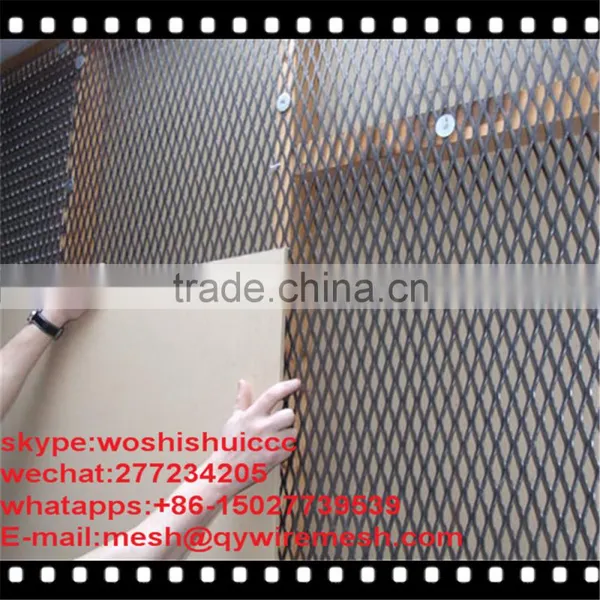 Stainless Steel Wire Protecting Screen Mesh Expanded Metal Mesh(ISO9001) photo-4