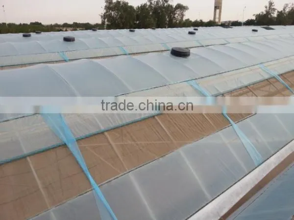 Multi-span Greenhouse photo-4