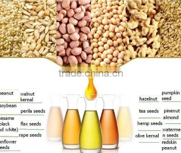 5TPD Multi-functional Stainless Steel Cooking Fragrant Groundnut Oil Processing Machine With Factory Price photo-5