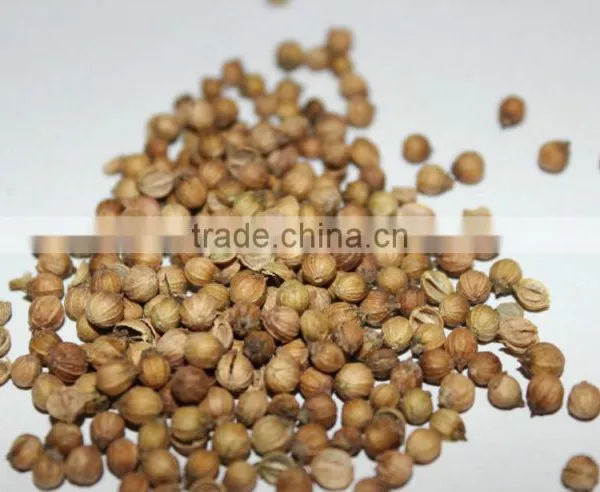 Coriander Seeds Multiple Layer Continuous Type Mesh Belt Dryer photo-6
