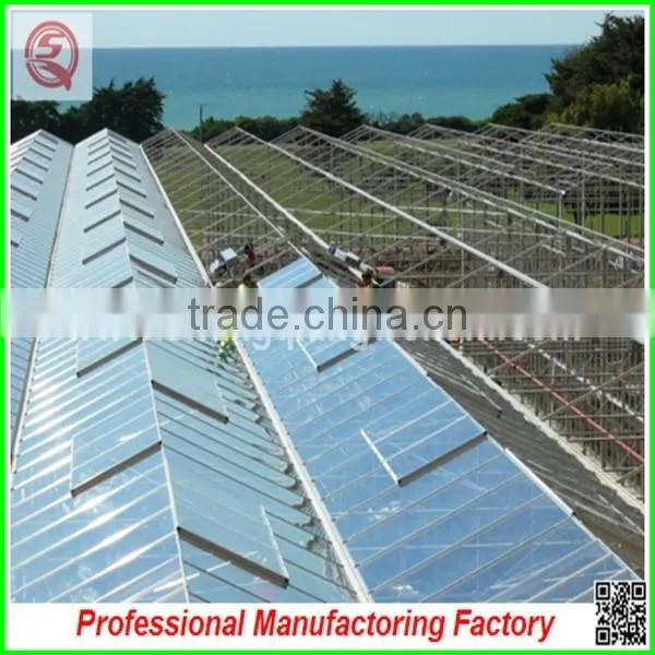 Large and Practical PC Sheet Multi-span Greenhouse With Professional Manufacturer photo-3