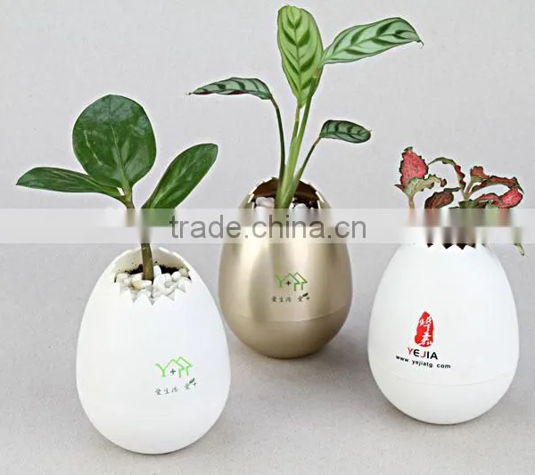 ABS Egg Shell Pots photo-4