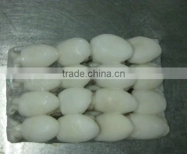 FROZEN WHOLE CLEANED BABY CUTTLEFISH FRESH OF ALO SEAFOOD Co., photo-2
