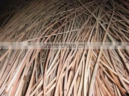 Rattan Kerai Cane photo-3