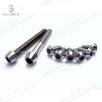 Baoji Eastsun Titanium Specialize in Titanium Screw for Motobike