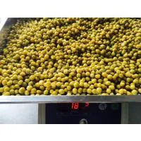 Canned Green Peas