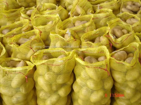Fresh Potato photo-2