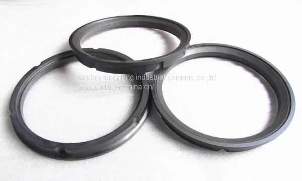 Sintered Sic Seal Ring for Mechanical Seal