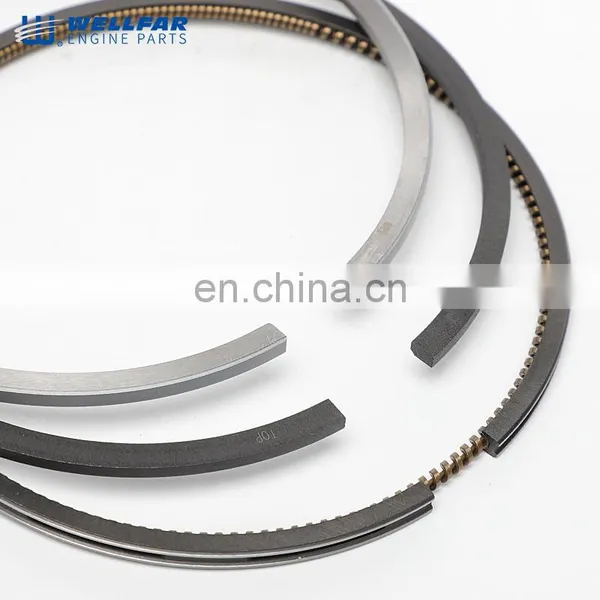 Wellfar High Quality 102mm Piston Ring 3802230 for Cummins 6BT Engine photo-2