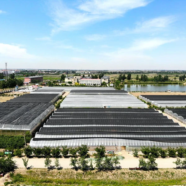 Hebei Dayu Seeds Co.,Ltd. company overview - view 4