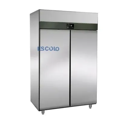 ES-QC1.0L4F Upright Double Door Stainless Steel Fridge