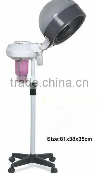 Beiqi salon equipment hair steamer