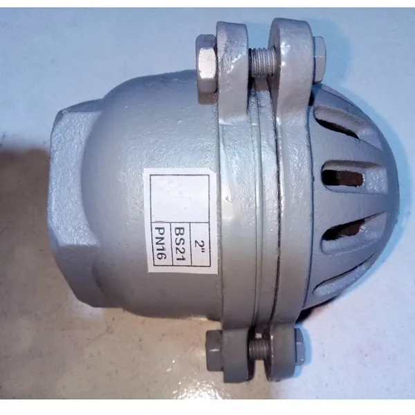 BS Foot Valve DN100 Cast Iron Ductile Iron Manual General Water Pump Check Valve photo-5