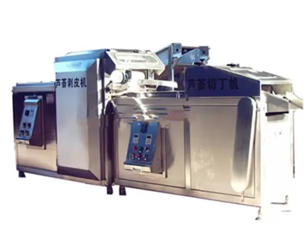 High Quality Aloe Vera Gel Processing Line9 photo-5