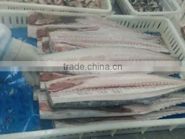 A Grade 100-150G Spanish Mackerel Fillet photo-6